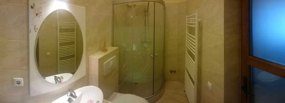 Casa visavis de Piata Mare Satu Mare • OLX.ro