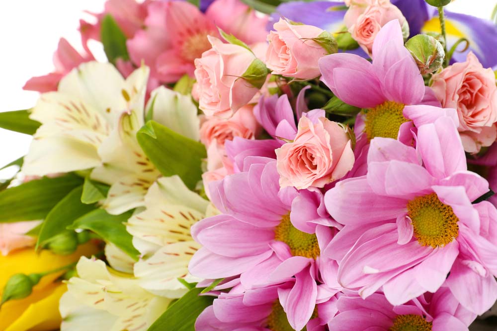 Parents Day and International Day of Friendship Flowers