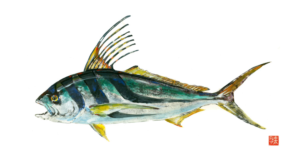 Rooster Fish Frank Gee