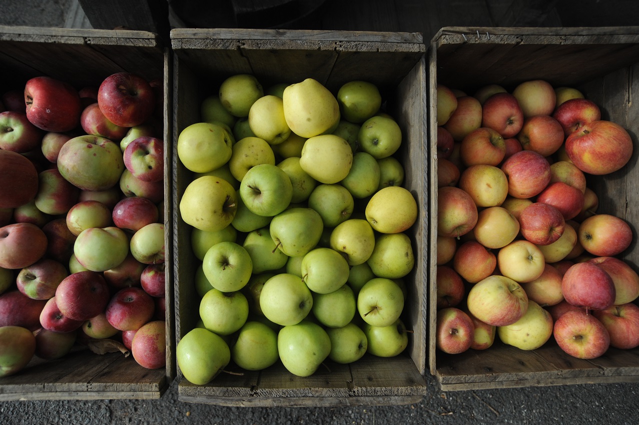 Five sweet Pick Your Own apple spots Franklin County Chamber of Commerce