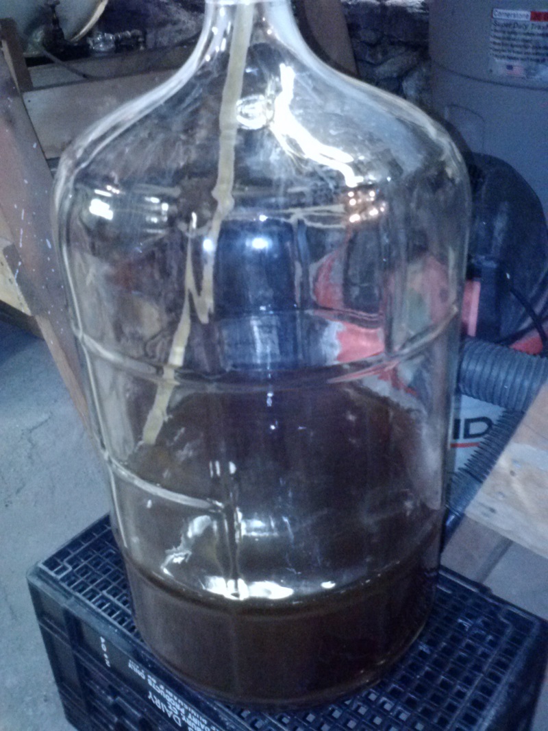 Hard Cider Update Second Racking Frank's Feast