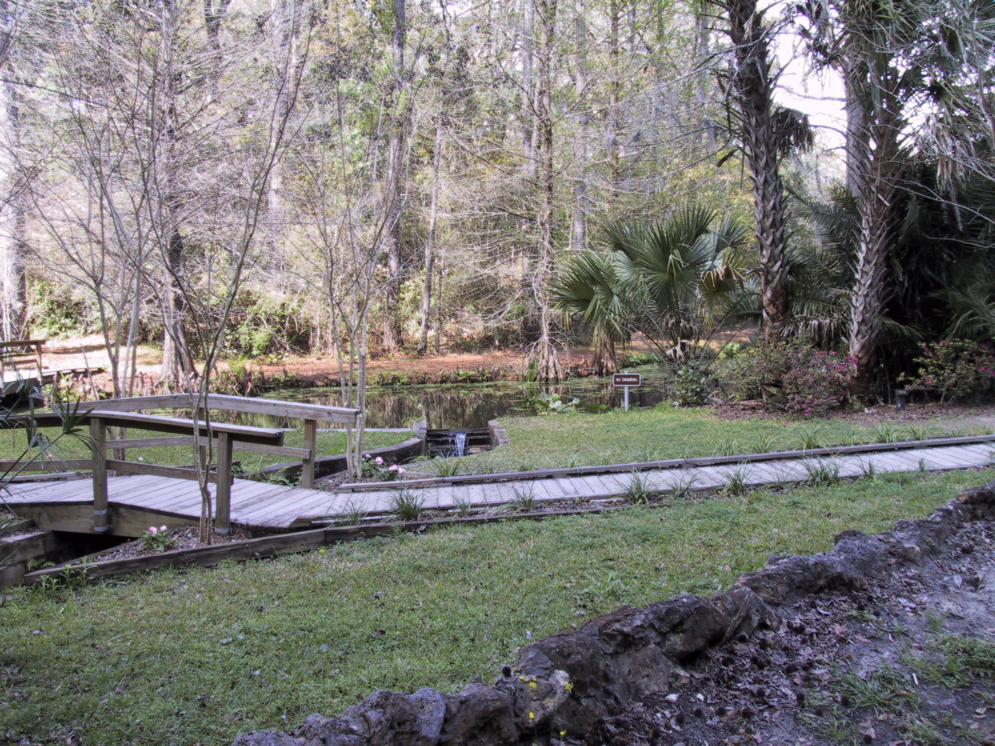 Ravine Gardens State Park