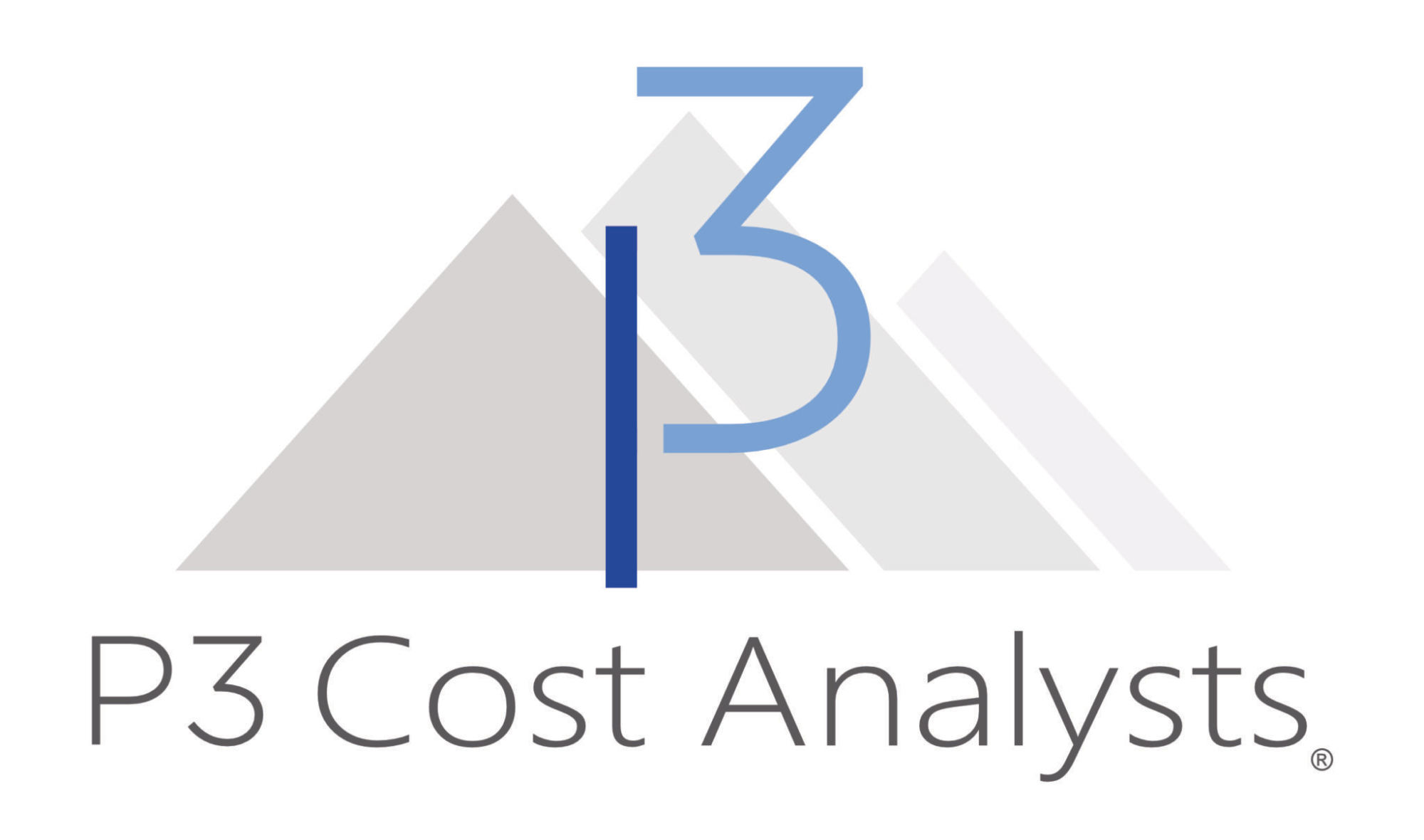 P3 Cost Analysts Franchise Costs & Information