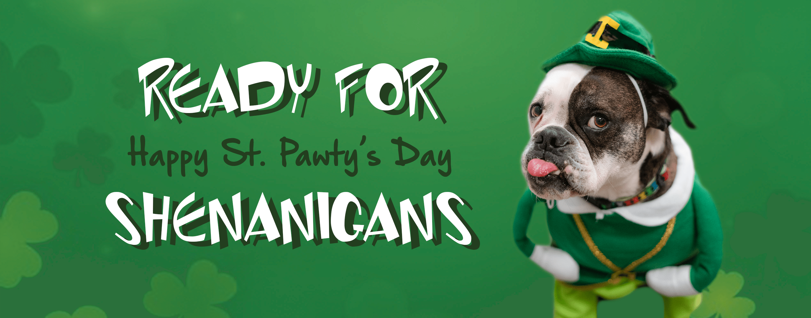 Dog Krazy Inc Corporate