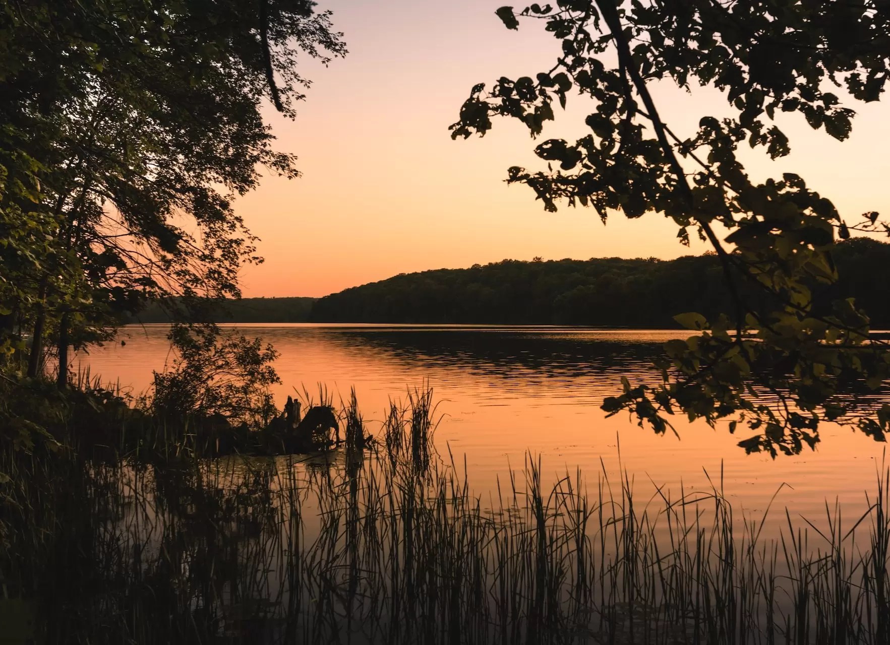 5 Things to Do in Andersonville, Tennessee