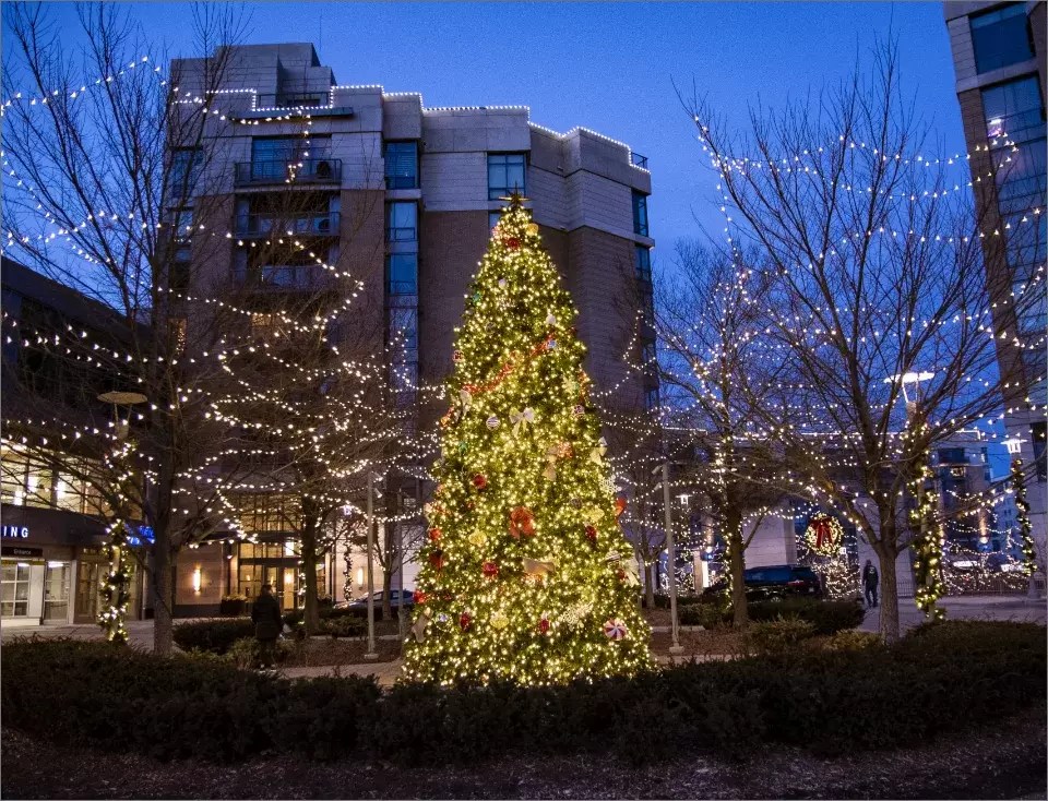 CHRISTMAS LIGHTS PROFESSIONAL INSTALLATION