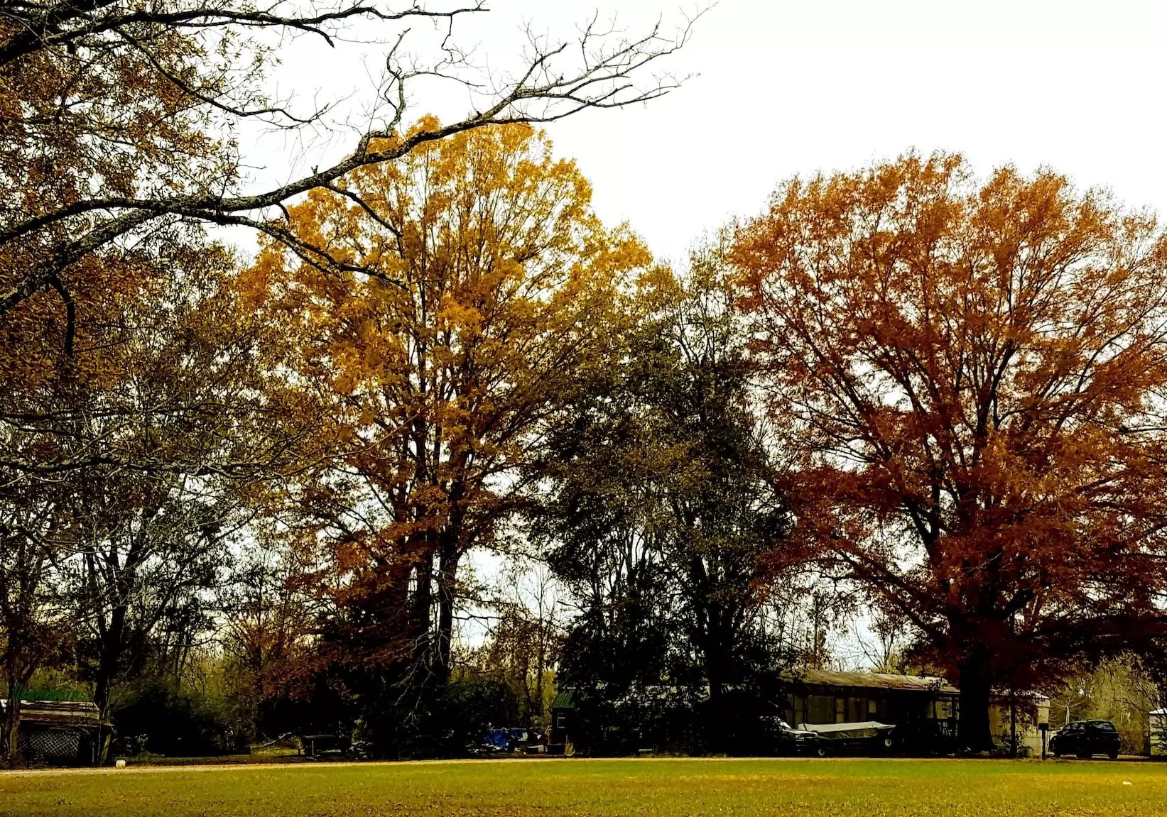 5 things to do in Lenexa, KS Blingle Premier Lighting