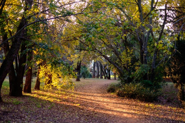 Velvia (8 of 11)
