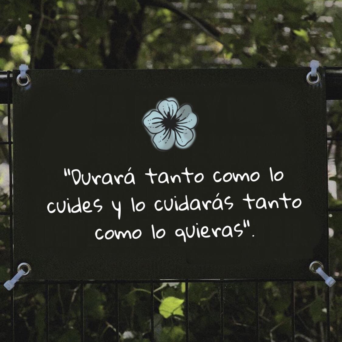 Durará tanto como lo cuides y lo cuidarás tanto como lo quieras FRASES.PW