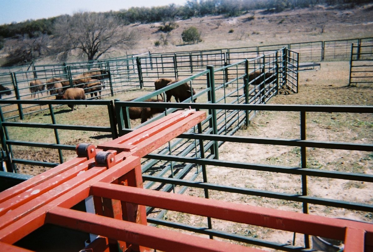 Handling Facilities Frasier Bison L.L.C.