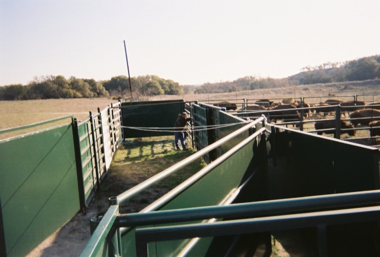 Handling Facilities Frasier Bison L.L.C.