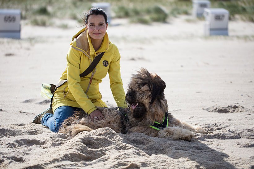 Sylt mit Hund alle Tipps und Empfehlungen für den Urlaub