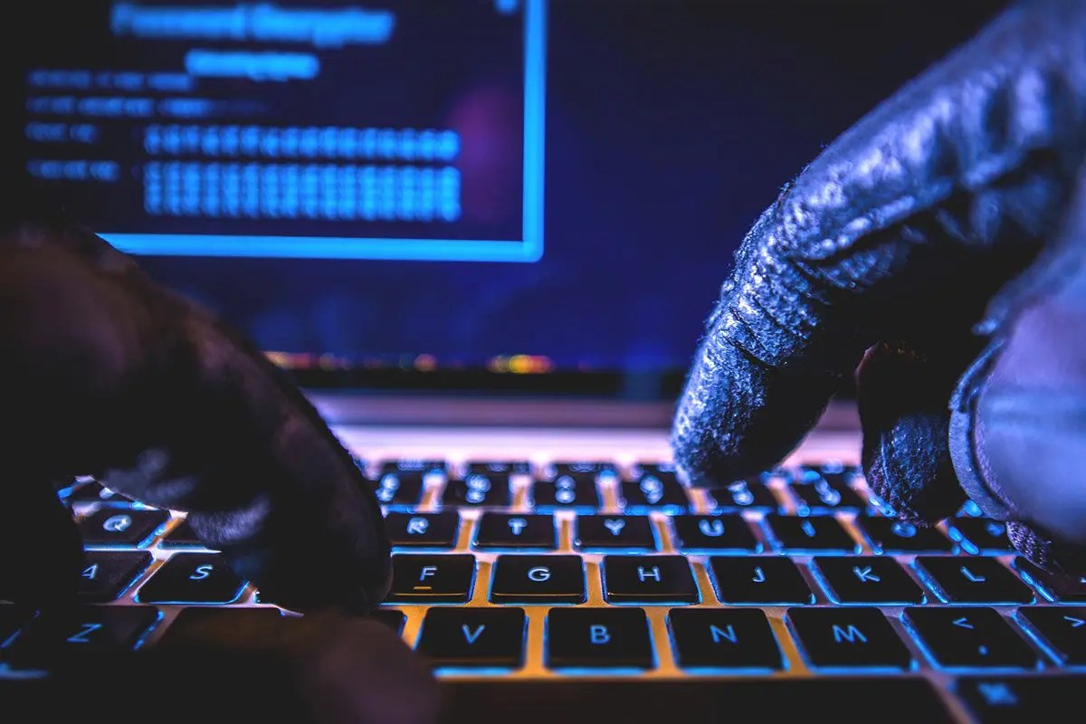 NFT Newbie Robbed by Crypto Scam — Fraudsters News