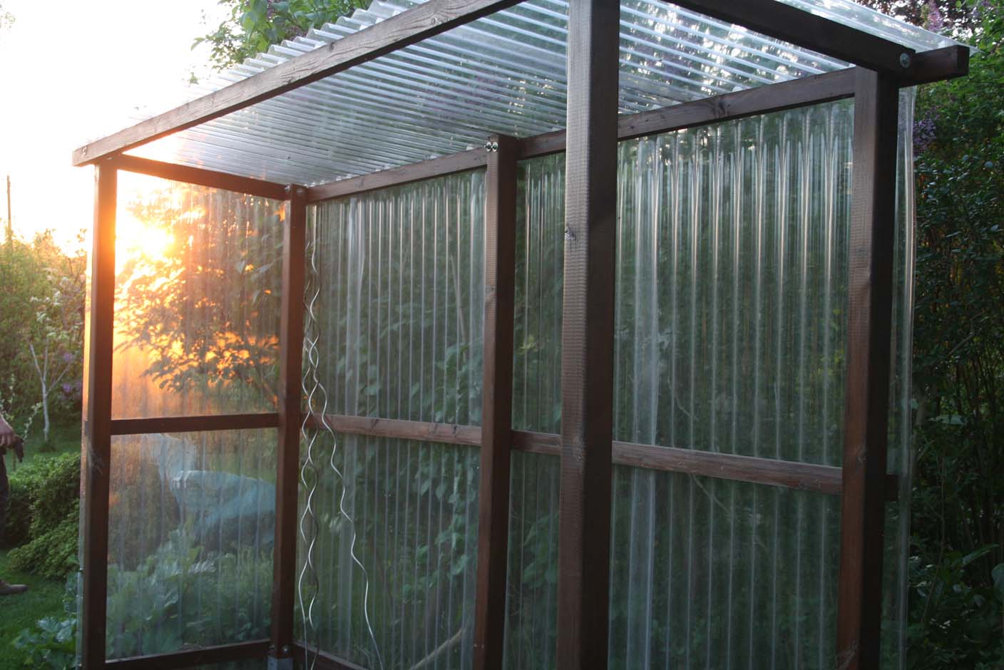 tomatenhaus Frau Meise