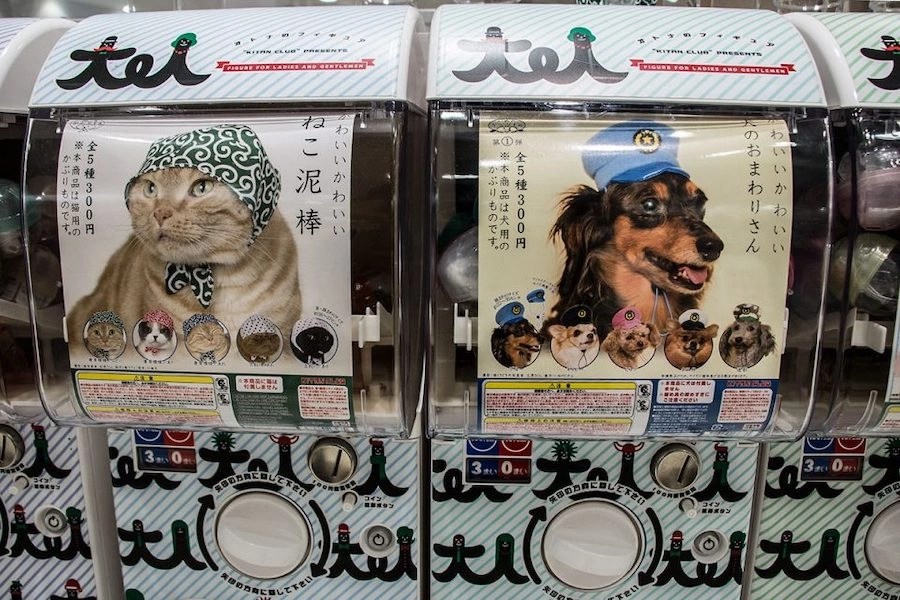 9 Weird Vending Machines in Japan That Will Blow Your Mind Fravel