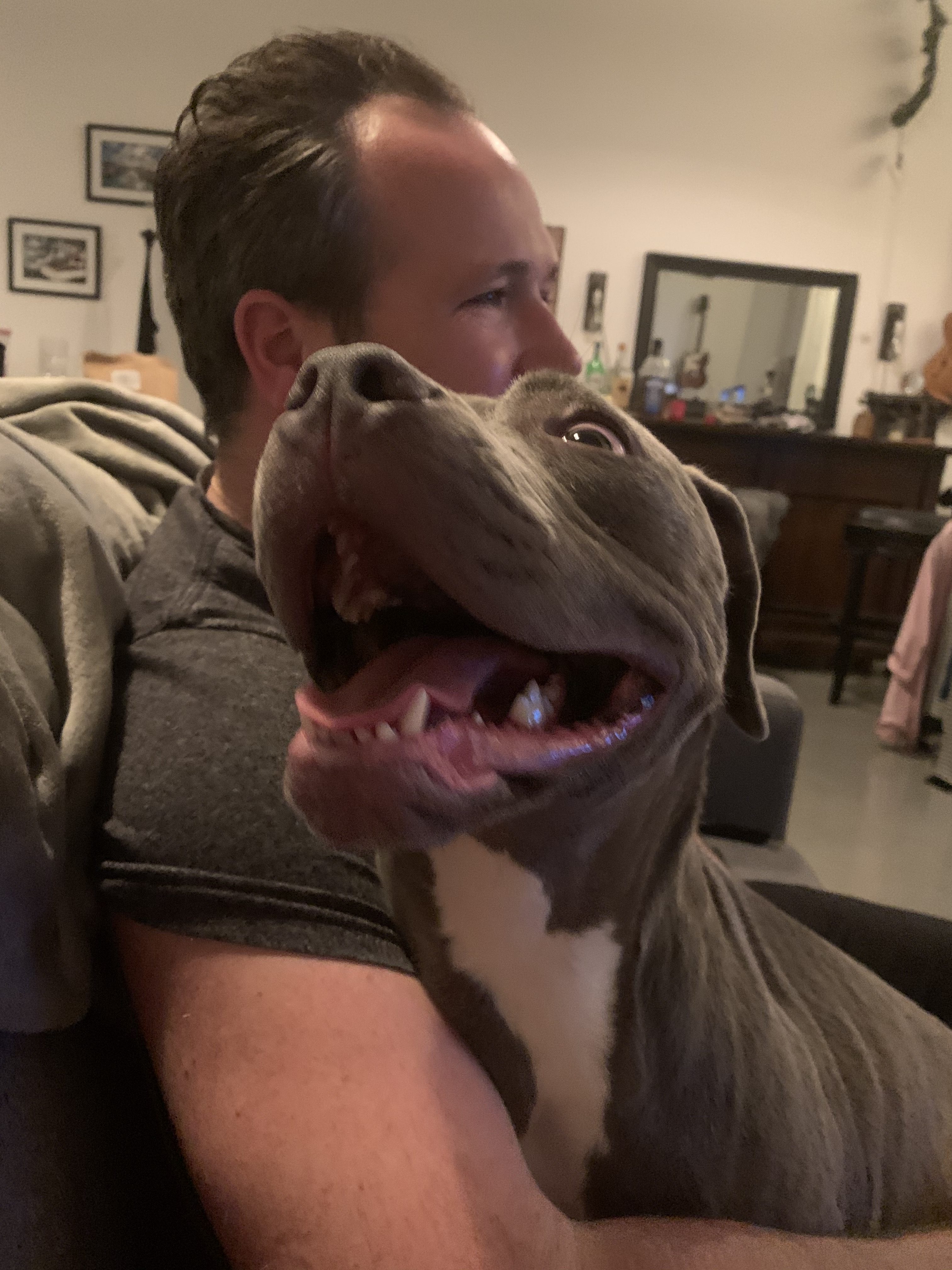 About Dr. Frazier Frazier Mobile Veterinary Services