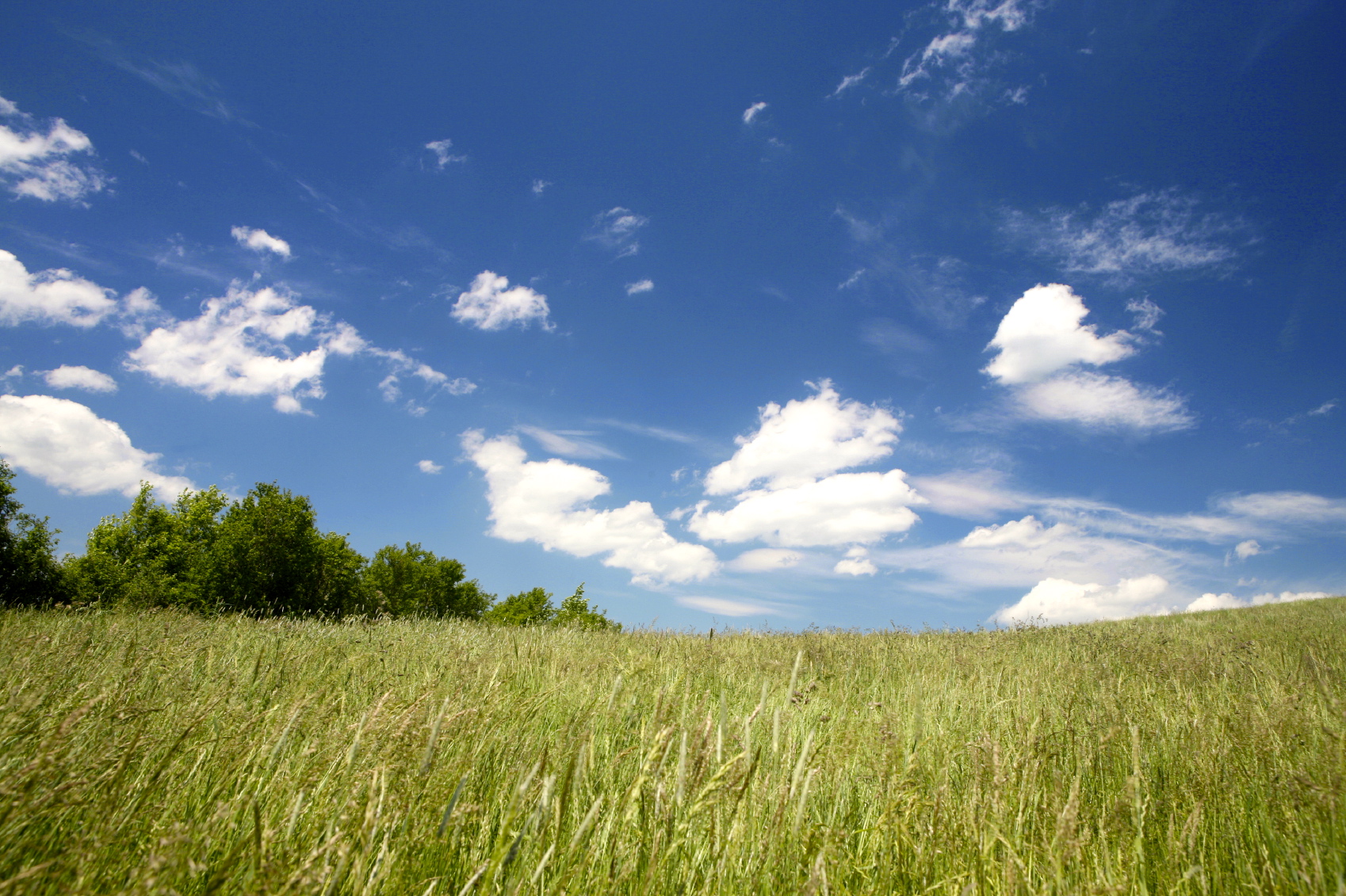 What Are the Options for Selling My Land? Forest Resource Consultants