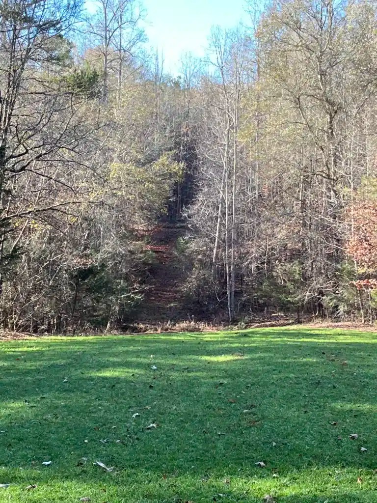 Best Land for Sale in Forest Resource Consultants Inc.