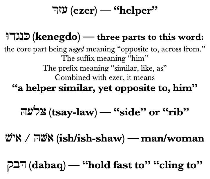 Oct. 10 Sermon Synopsis — A Helper Fit for Him Faith Reformed Church