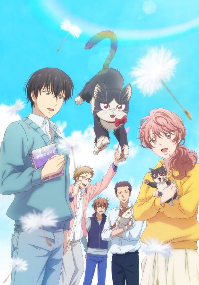 'Dōkyonin wa Hiza, Tokidoki, Atama no Ue' revela nuevo