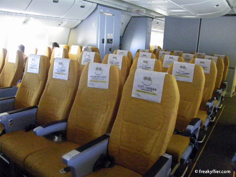 Review Scoot Airlines Sydney to Singapore, Matty Somewhere