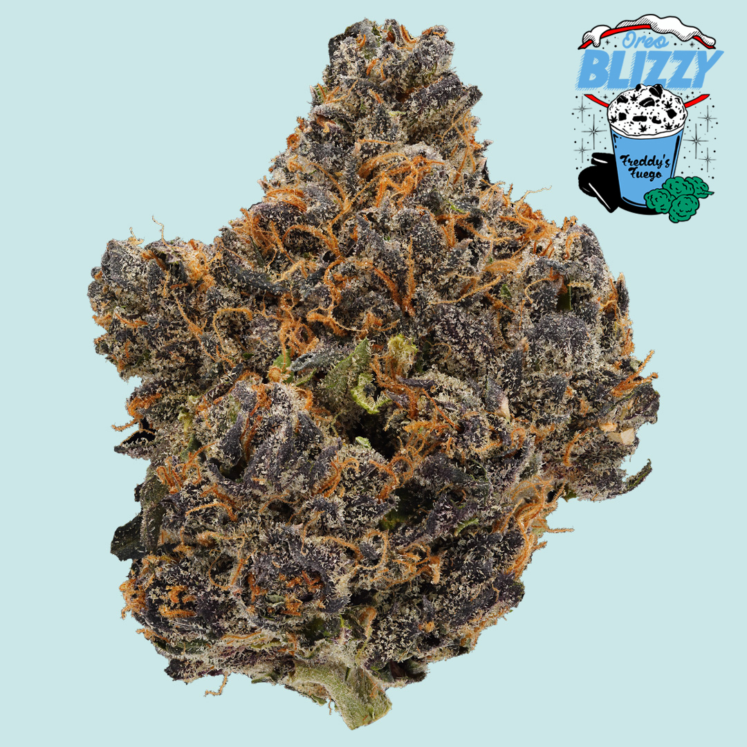 Oreo Blizzy Cannabis Strain Freddy's Fuego