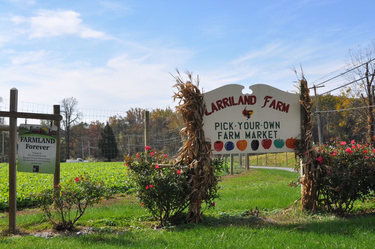 Maryland & Virginia Fall Farmers Markets Frederick Fence