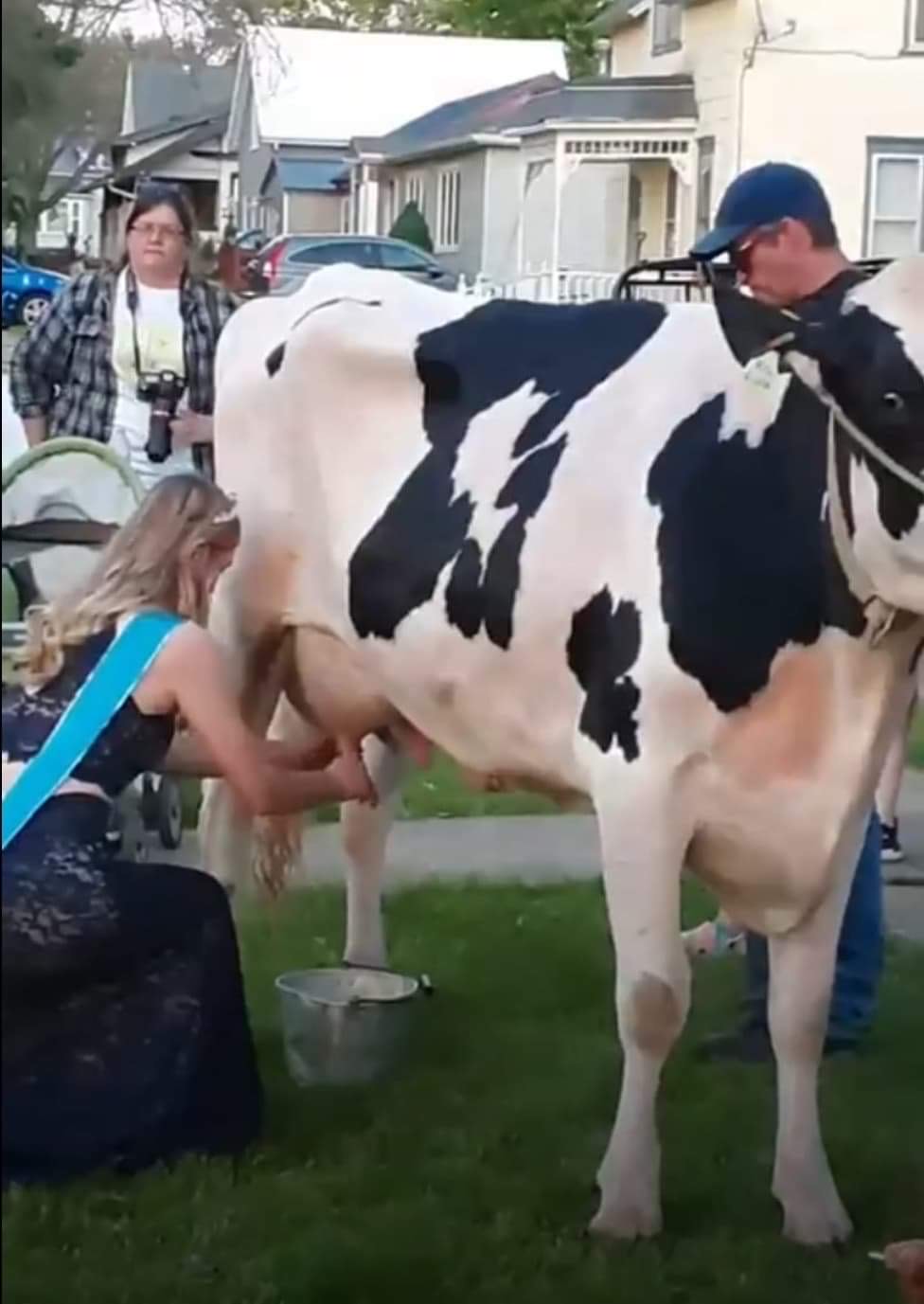 Fredericksburg Dairy Days IA