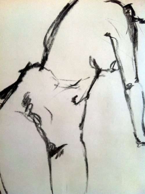 Maraton Croquis Kursus