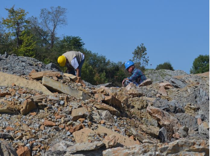 Napoleon Quarry, Indiana Fred Haynes