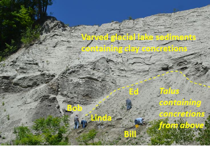 Clay Concretions in Sharon, Vermont Fred Haynes