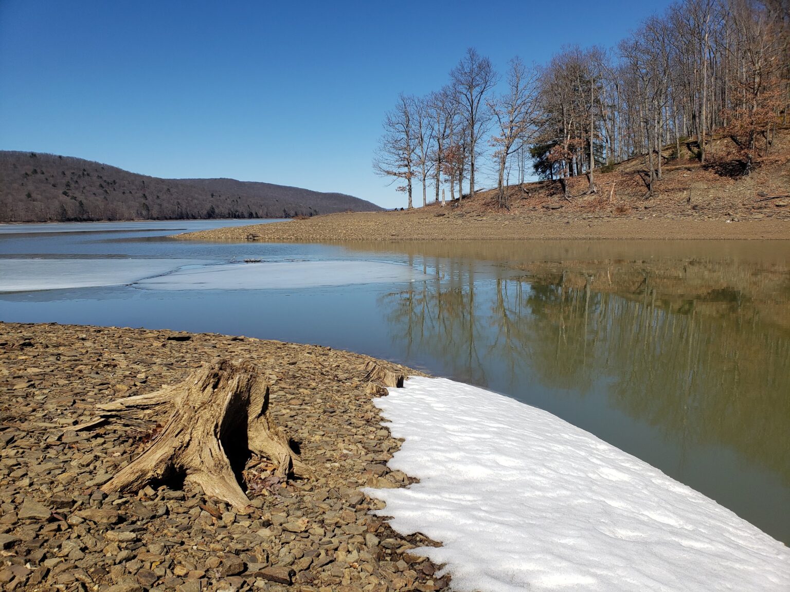 Neat nature near Fredonia The Leader