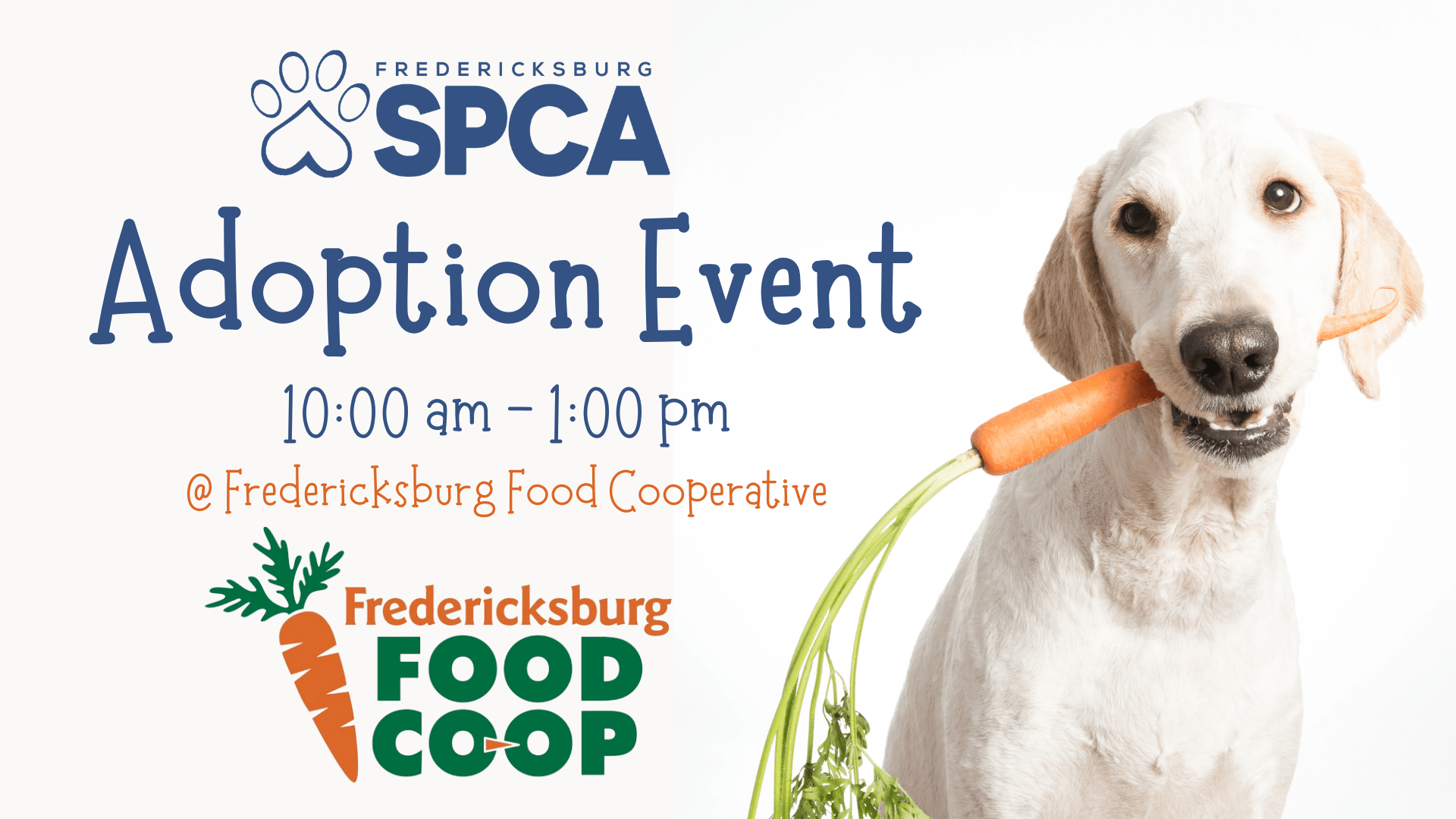 Adoption Event at the Fredericksburg Food Cooperative Fredericksburg SPCA