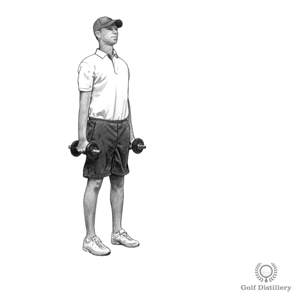 Golf Strength Exercises Free Online Golf Tips