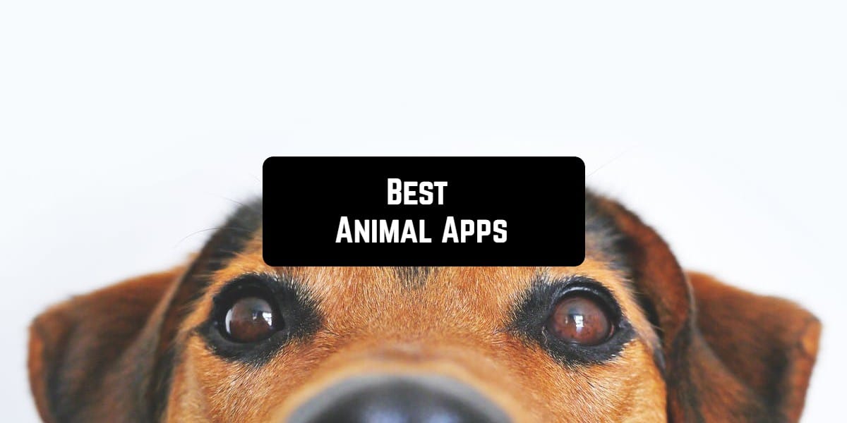 11 Best Animal Apps for Android & iOS Freeappsforme Free apps for