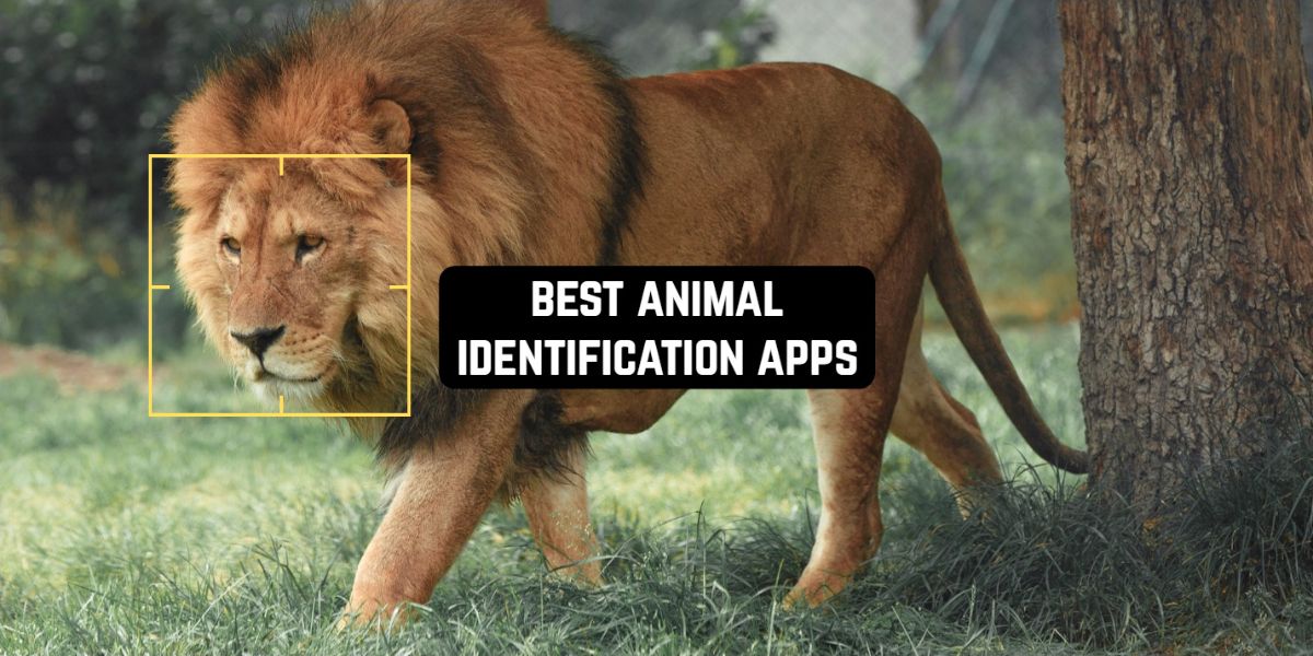 7 Best Animal Identification Apps for Android & iOS Freeappsforme