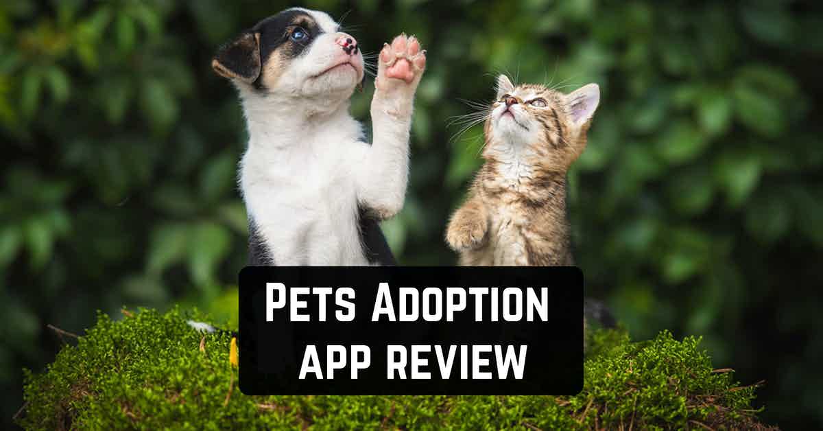 Pets Adoption app review Freeappsforme Free apps for Android and iOS