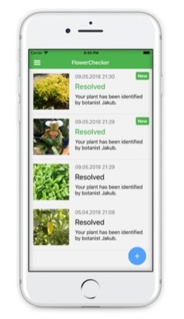 5 Free Flower Identification Apps for Android & iOS Free apps for