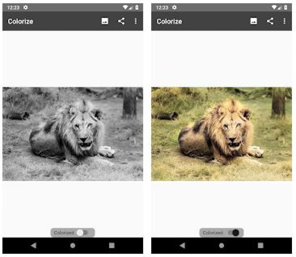 Colorize Images App Review Freeappsforme Free apps for Android and iOS