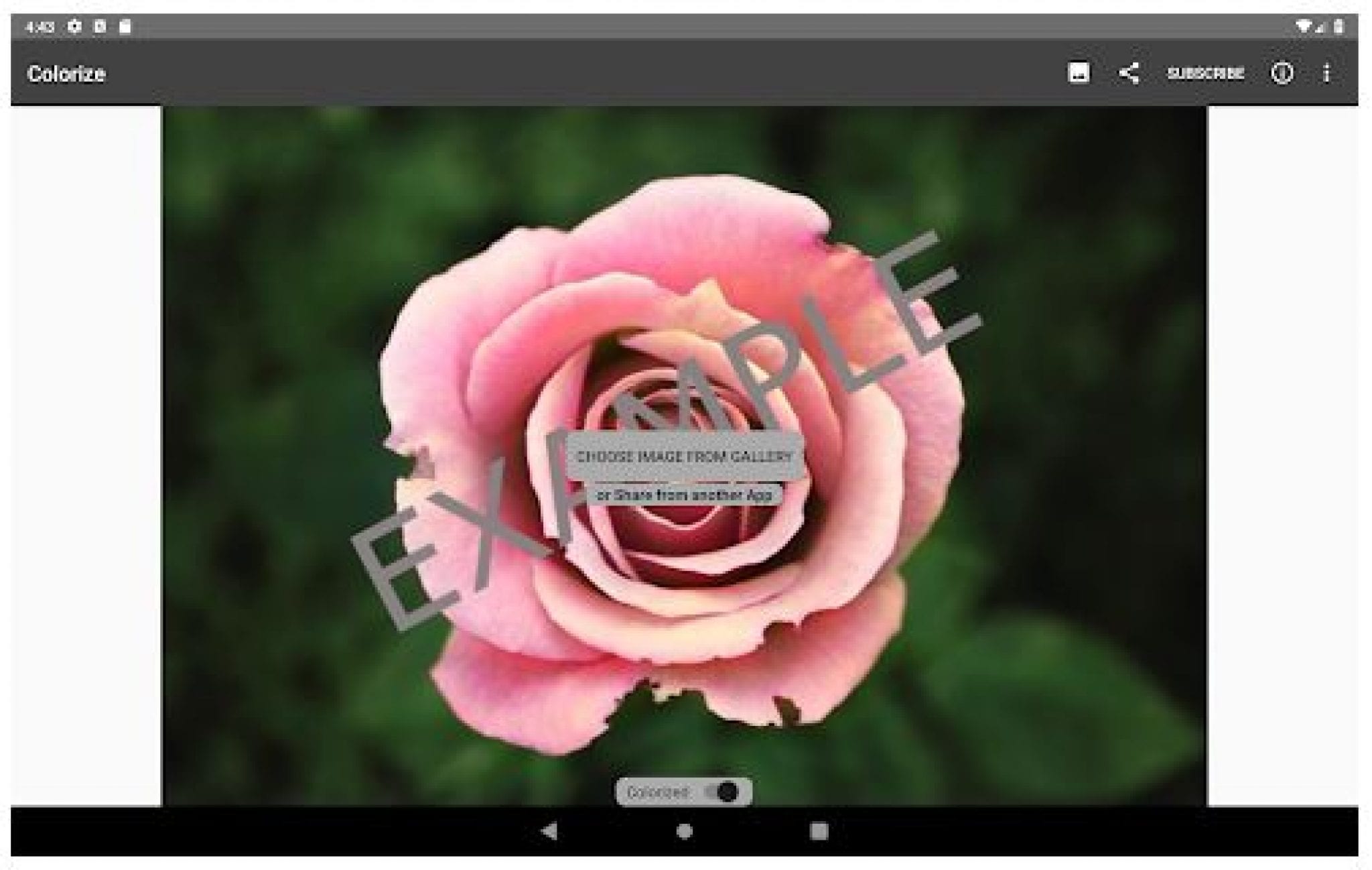 Colorize Images App Review Freeappsforme Free apps for Android and iOS