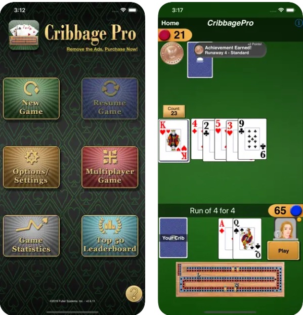 11 Best Cribbage Apps to Play Online & Offline (Android & iOS