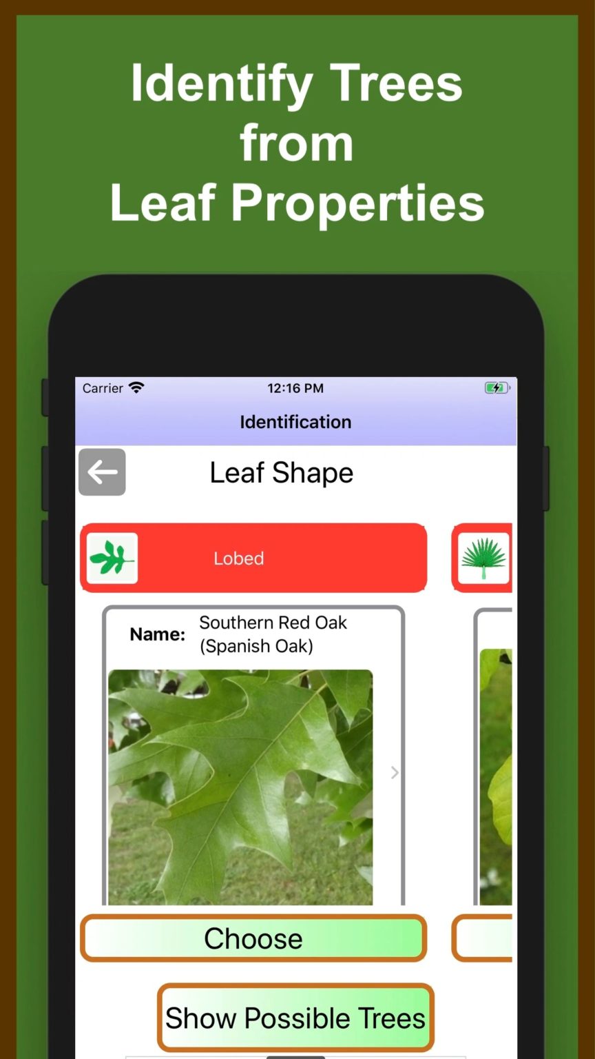 8 Apps to Identify Wood by Picture (Android & iOS) Freeappsforme Free apps for Android and iOS
