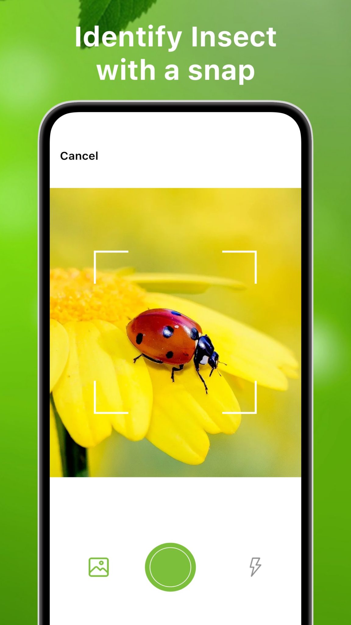 7 Best Spider Identification Apps for Android & iOS Freeappsforme Free apps for Android and iOS