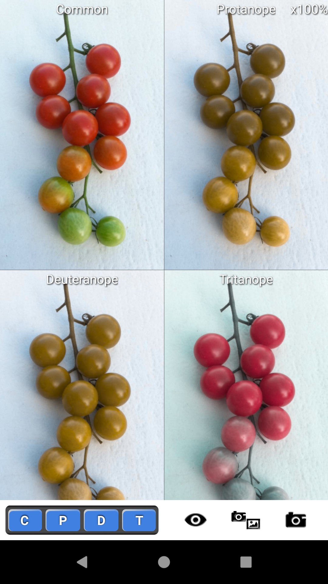 5 Best Dog Vision Filter Apps for Android & iOS Freeappsforme Free