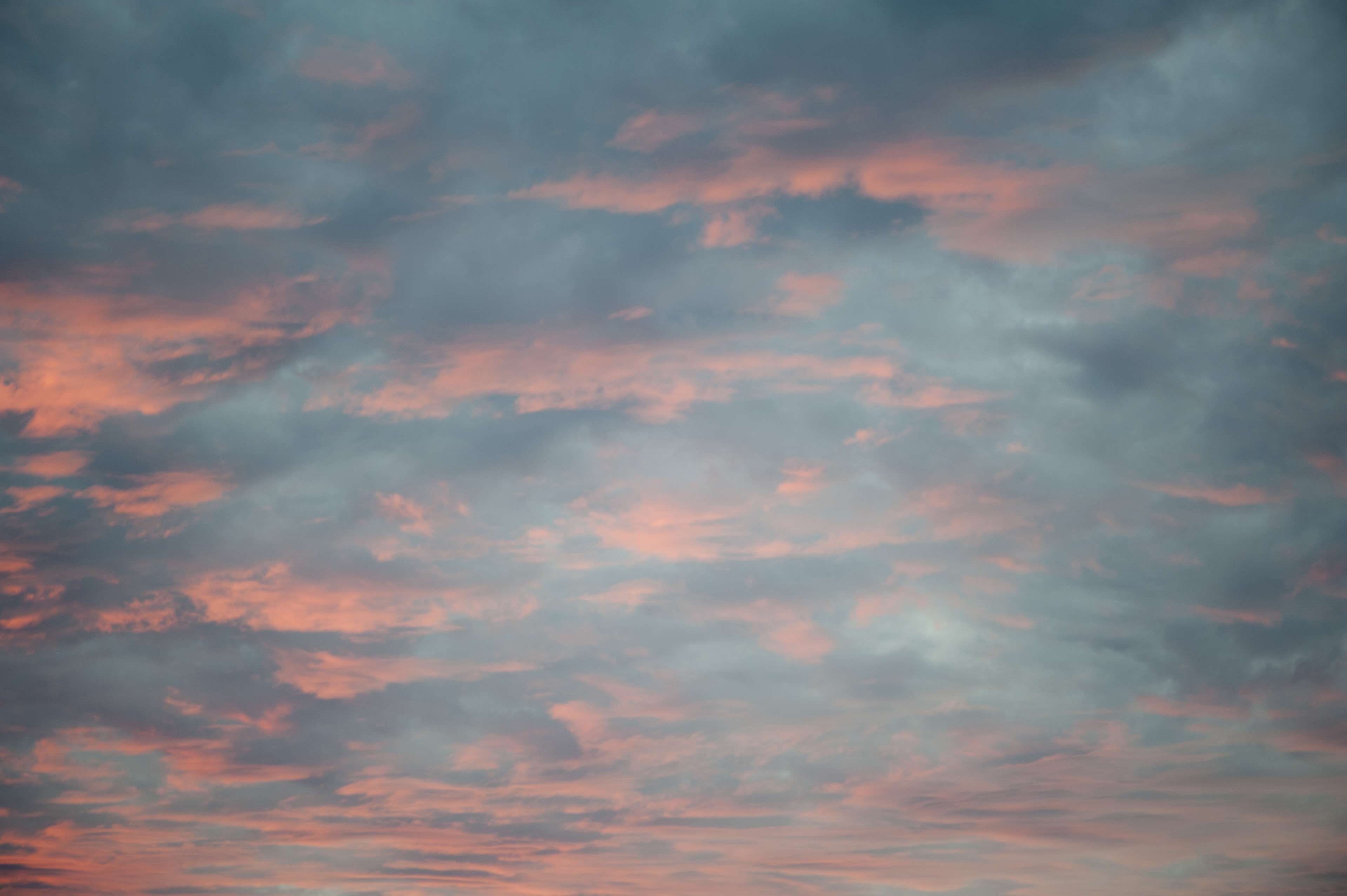 Free Image of Delicate pink sunset Freebie.Photography