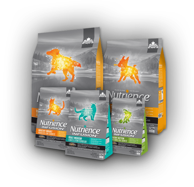 Save 3 on Nutrience Infusion Dog or Cat Food