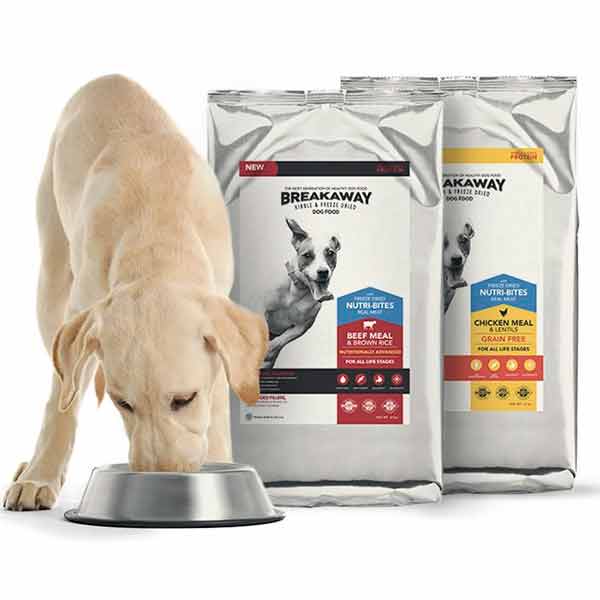 Free Food For Dogs Freebies Lovers