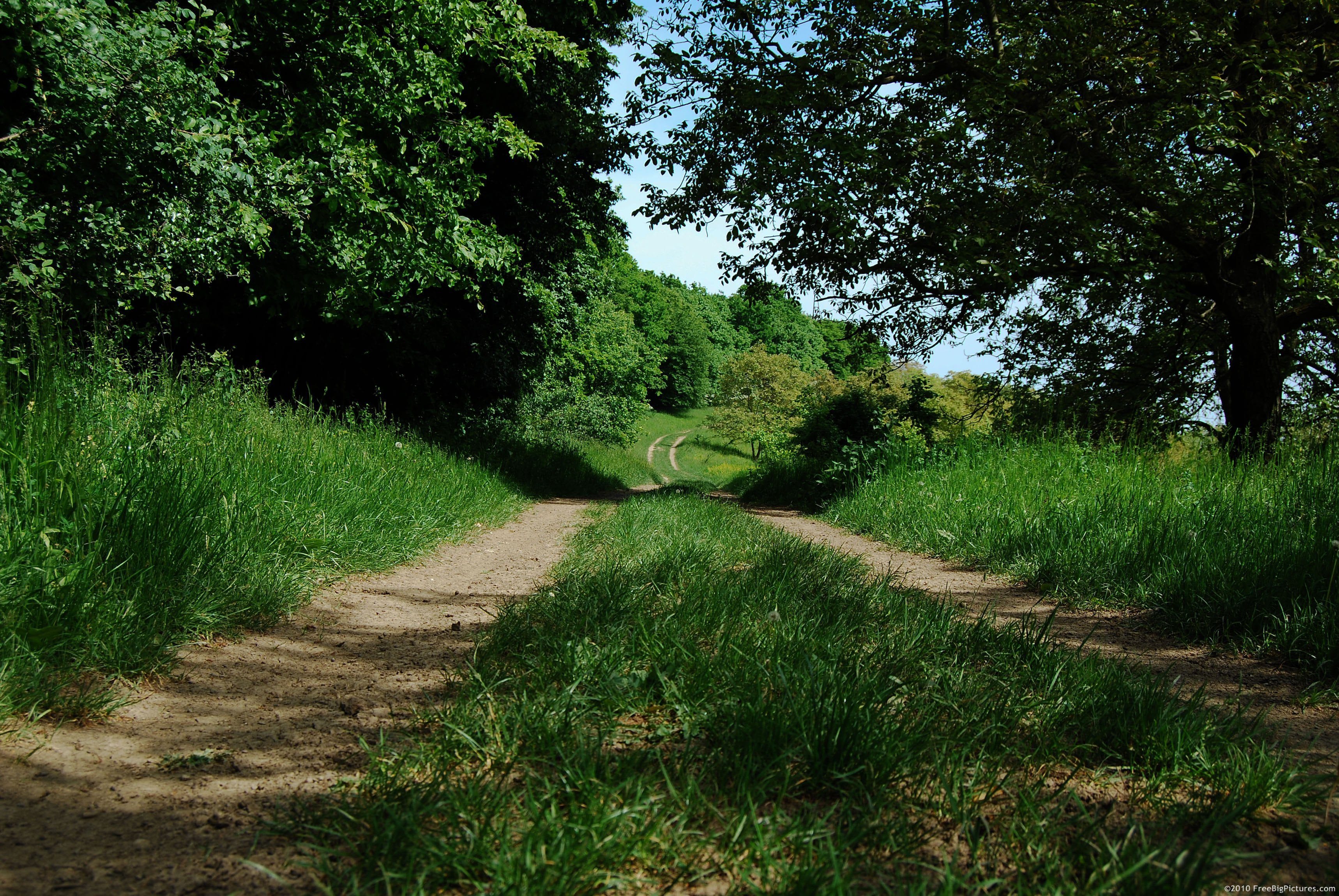 Old Path