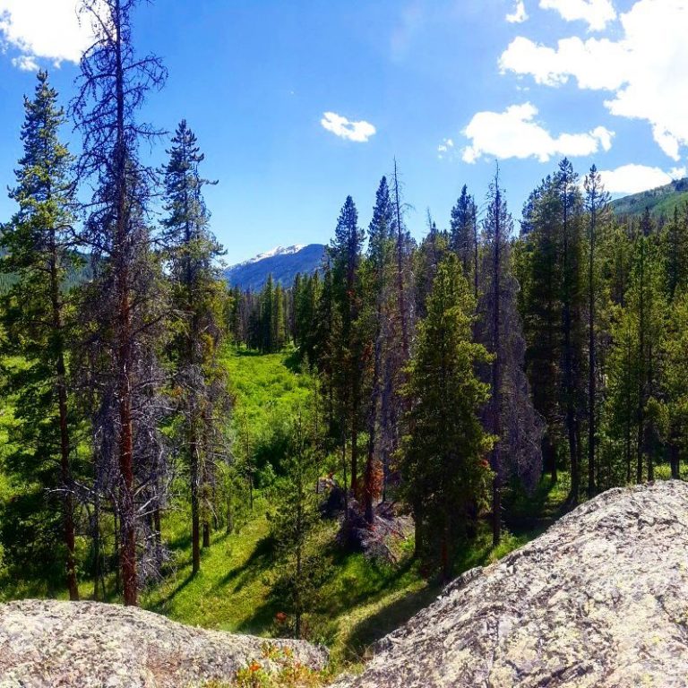 Homestake Road Dispersed Minturn, Colorado Free Camping Near You