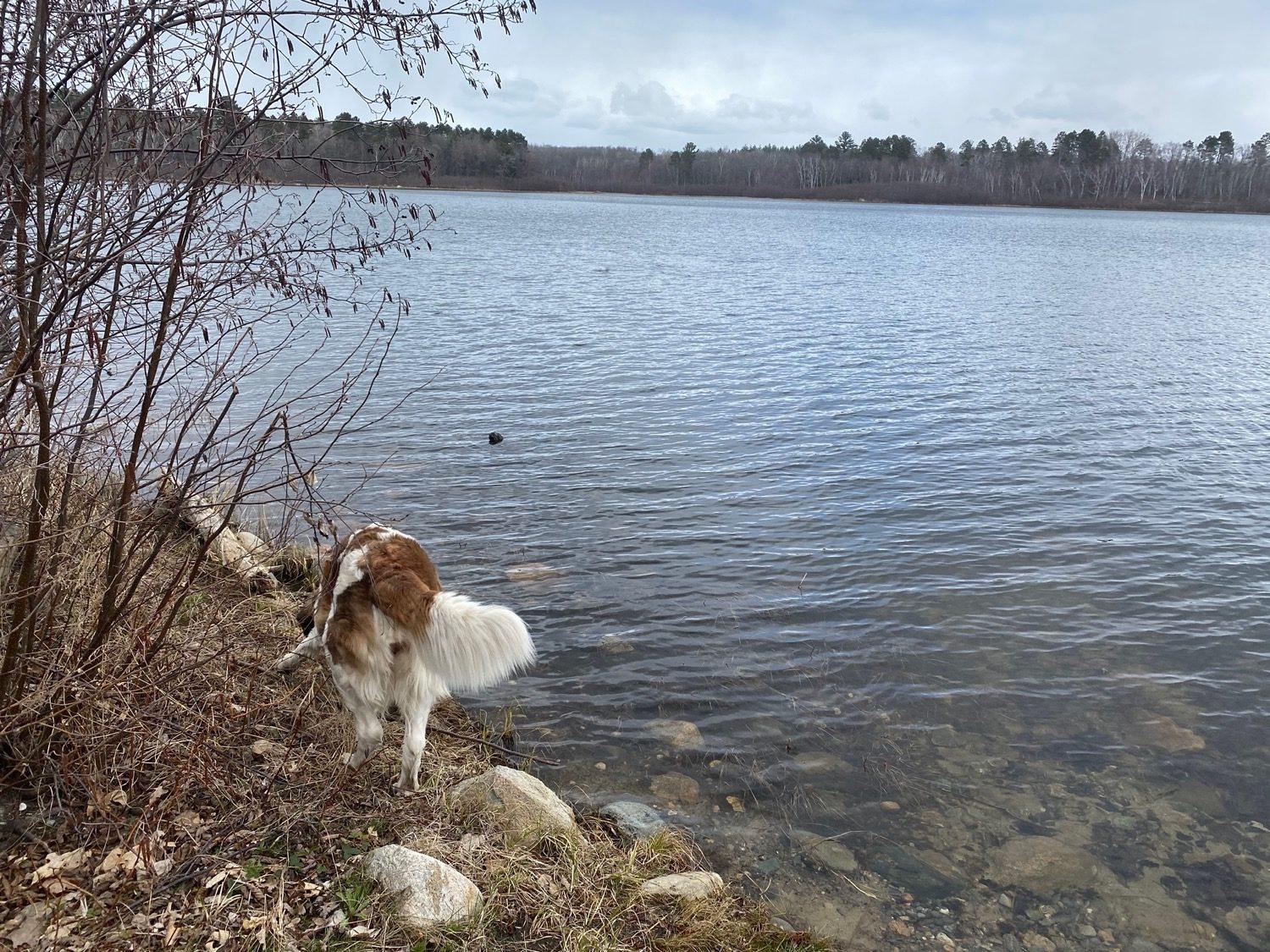 Diamond Lake Hackensack, Minnesota Free Camping Near You